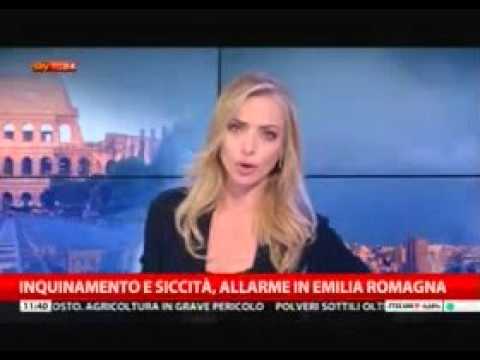 Dentro i fatti skytg24 intervento di Stefano Anconelli CER - 1 febbraio 2016