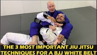3 Most Important Techniques for White Belts - Danaher