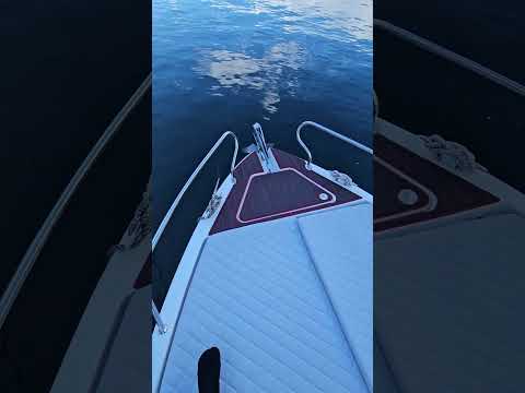 Video Placeholder