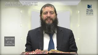הדף היומי מסכת סוכה דף ל