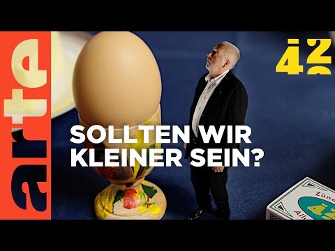 Warum sind wir nicht winzig klein?  | 42 - Die Antwort auf fast alles | ARTE