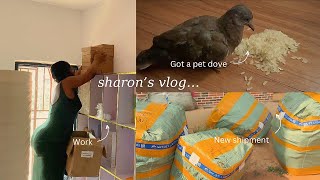 SHARON’s VLOG : a few busy days in the life of a small business owner + I got a pet dove