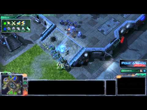 (HD208) Grubby vs Sterling - PvT - Starcraft 2 Replays [FR]