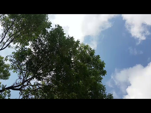 Apex Gutterwerks LLC