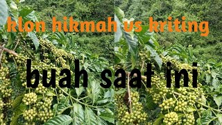 Download lagu curly clone vs current wisdom mp3