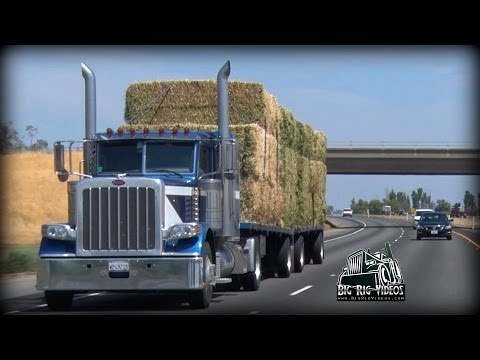 Mike Lowrie Trucking - Rolling CB Interview™