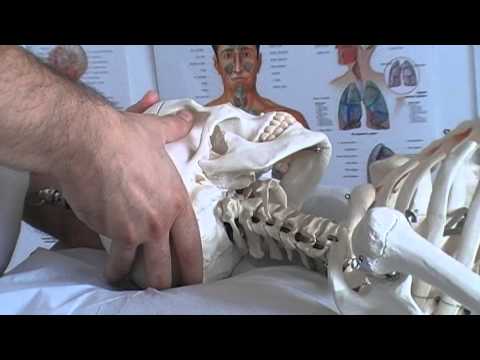 Scricchiolio delle articolazioni lalluce Hip vendita