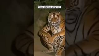 SkinWalker Disguised As Animals ☢️ PRT-53 #viral #ytshorts