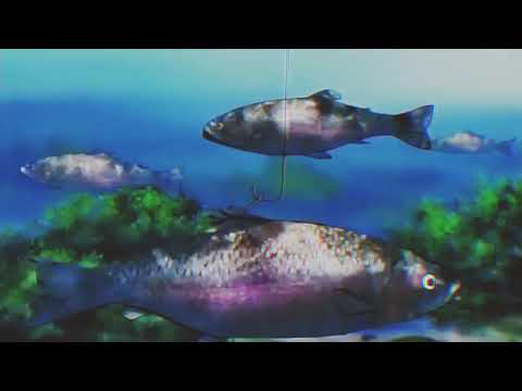 samurai champloo- nujabes- aruarian dance (AMV) #samuraichamploo #amvedit #nujabes