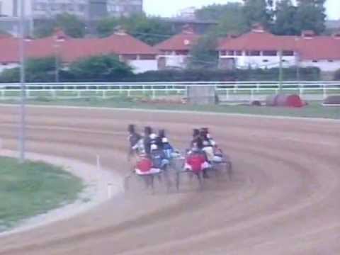 Joze Sagaj - Lester //Gridiron Lad - Monique // 16stpm  Lovasélet Sprinter Kupa 13.3 ♥