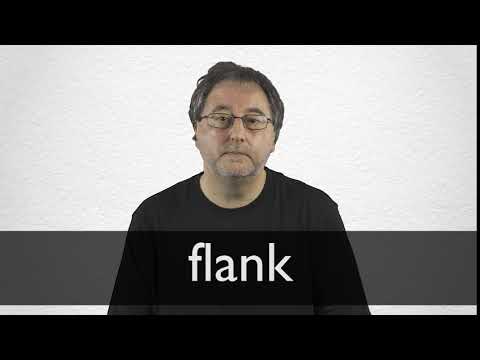 What is the meaning of flanked ? - Question about English (US