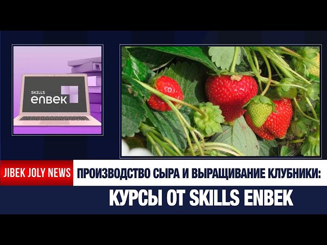 Обучение без границ