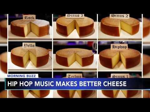 Hip hop music makes cheese taste best: Study