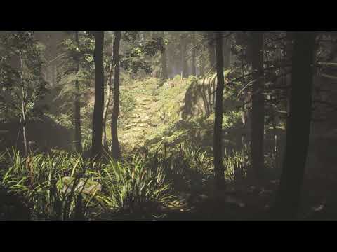 LP Giobbi - 'Succession' (Official Visualizer)