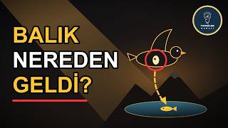 Hiç Balık Atılmayan Göle Balıklar Nereden Geliyor? Cevap Havada