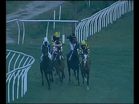 Galoppo 07/01/2017 - 2ª corsa