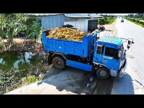 First Start Wonderful Project.! Landfill Delete Deep Land By Dozer Pushing Soil & 5ton Trucks