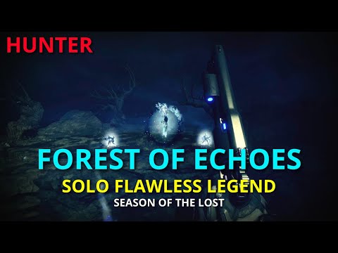 Solo Flawless Legend Shattered Realm Forest of Echoes | Destiny 2 (PS5)