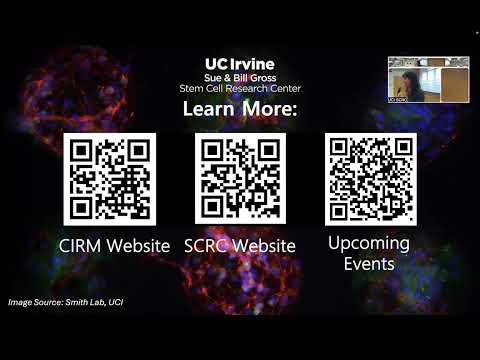 RNA in Cell Fate Determination