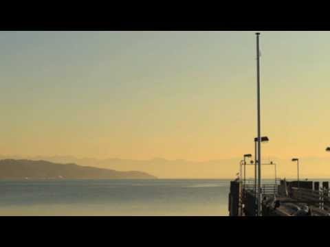 Klaus Brendel - Jungle Scooter