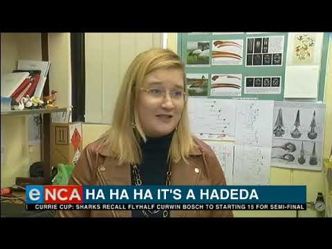 The African alarm clock that you never have to set