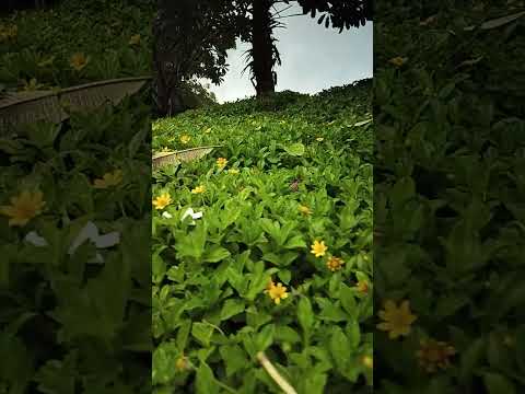 #TereMerehotope #advaitha