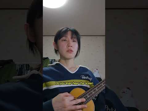 비디오 15