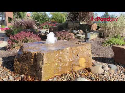 The Pond Guy® FeatureClear™