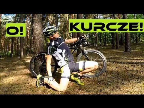 Kulturystyka Klub Petersburg Sterydy na wzrost mięśni, gdzie kupić