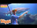 Blippi Deutsch Blippi Im Aquarium Abenteuer Und Videos Für Kinder