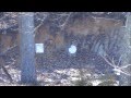 .308 bullet caught in flight,slow motion 