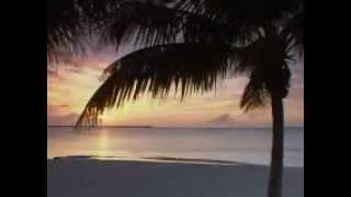 Maná - Como quisiera poder vivir sin aire