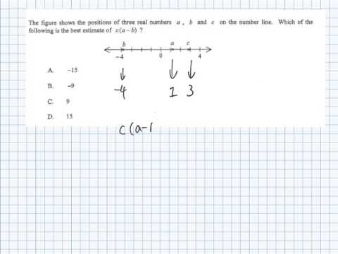 HKCEE II 2009 Q15 MC Errors and Estimation