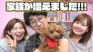 【報告】新しい家族が増えました！【犬】