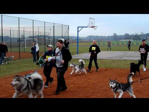 Start Pawełki Dogtrekking Long 2.04.2011