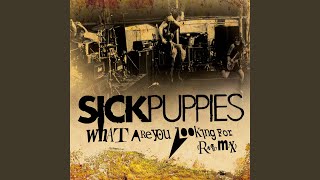 What Are You Looking For (Radio Mix)