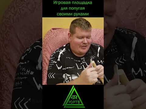 DIY Как сделать игровой стенд для попугая своими руками? #shorts #юртв