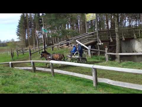 Fahrturnier Greffen 10.4.2022