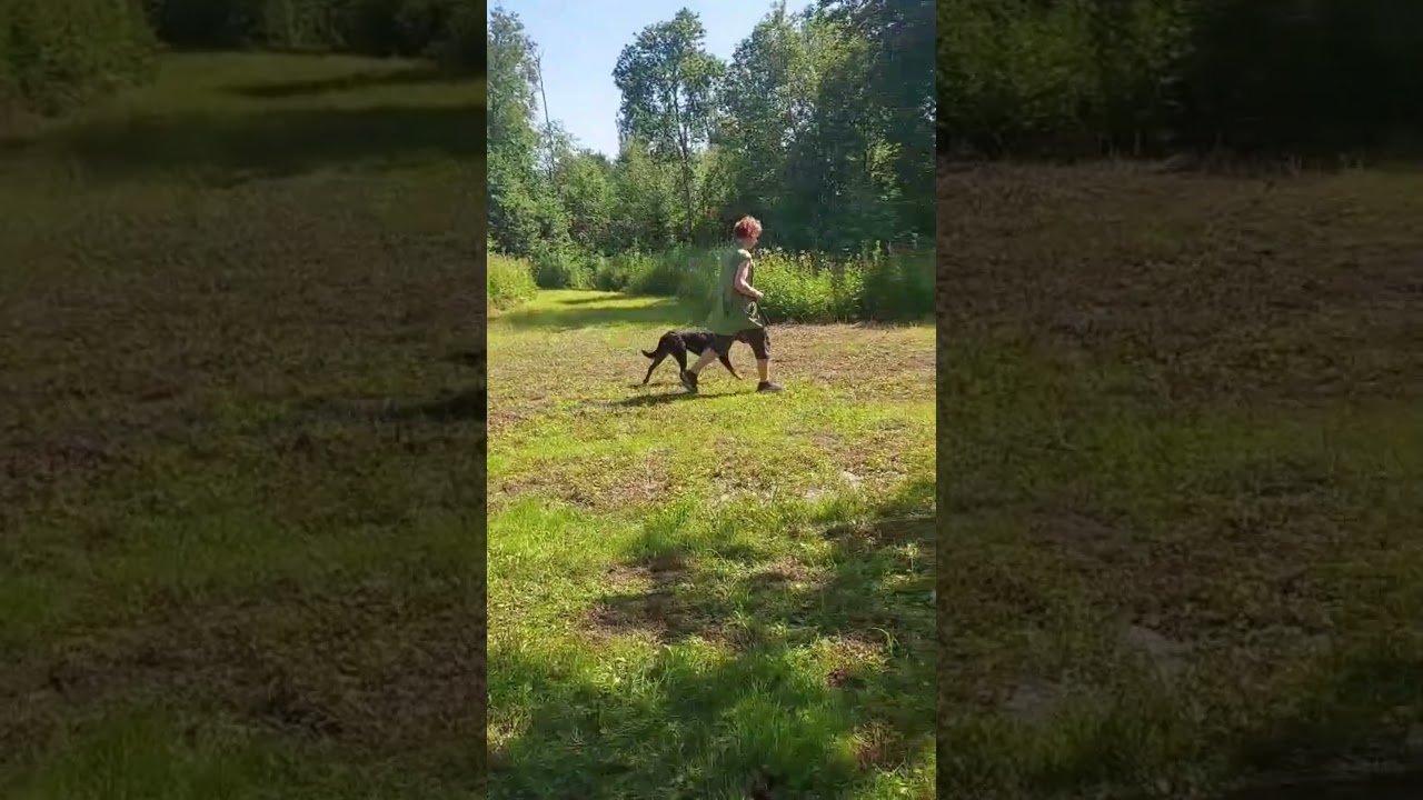 Moment 1 - Kontaktvillighet