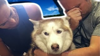 WE DON'T WANT HER TO DIE.. SOMETHING IS WRONG WITH ARTIE :( Brian Barczyk