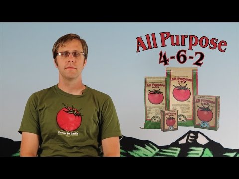 video_thumbnail2