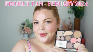 Project Pan Update 1 for February 2024!