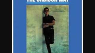 Roy Orbison - Never