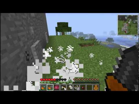Minecraft 1.2.5 Lets Play Episode 10- Bees!