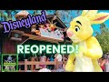 The Many Adventures Of Winnie The Pooh Ride REOPENED Plus Pooh Corner And Characters