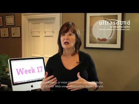 17 Weeks Pregnant - Your 17th Week Of Pregnancy