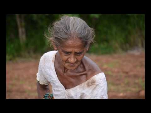 senehasa uthura සෙනෙහස උතුරා