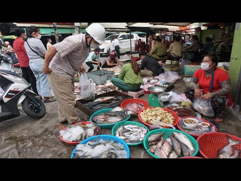 Beautiful & Fresh Morning Food Market at Phsa Samaki - Morning Market Scene @Samaki Market