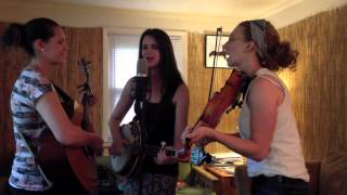 Fleeting Thrushes--&quot;Seeds of the Pine&quot;