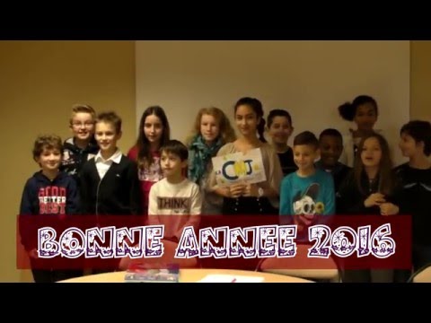 Ferrières conseil municipal des jeunes du 09 01 2016
